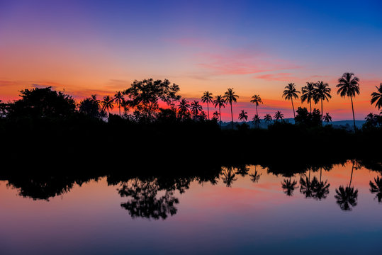 silhouettes of palm trees at dawn near a lake. Tinted.