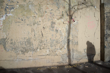 Shadow of Man and Tree on Wall