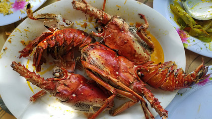 Gourmet lobster dinner on the plate. Top view.