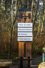 placas de transito e caminhos