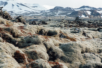 Wild Icelandic landscape view