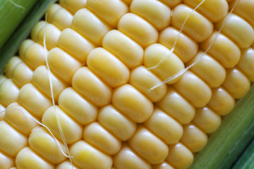 corn