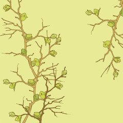 The branches of the trees are strewn with spring buds of leaves, which wake up from the winter sleep.
