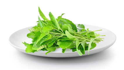 Holy basil in a plate isolated on a white background