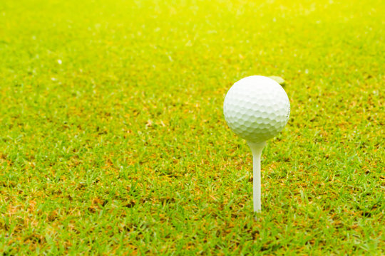 Golf ball on the green with tee, Close up.