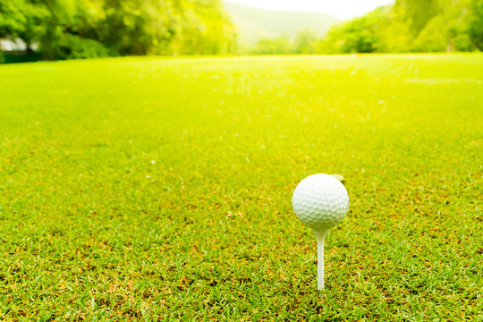 Golf ball on the green with tee, Close up.