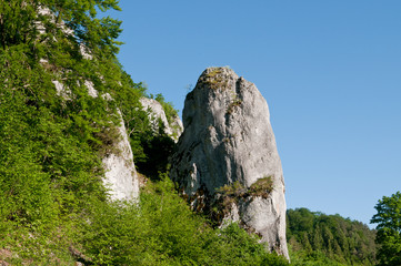 Felsen im Donautal