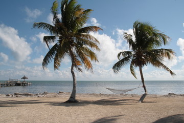 Sunny beach with palm trees an hammock. Florida Keys, USA.