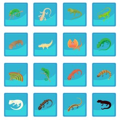 Lizard icon blue app