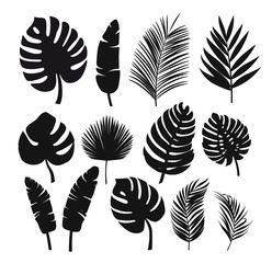 Set of black silhouettes of tropical leaves palms, trees. - obrazy, fototapety, plakaty