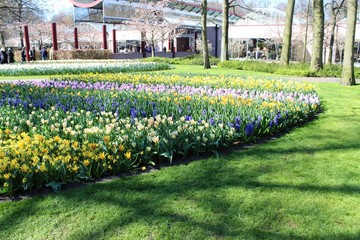 Keukenhof park in Netherlands