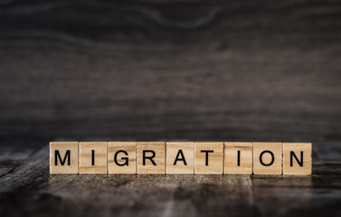 the word migration is made of bright wood cubes with black letters on a dark wooden background