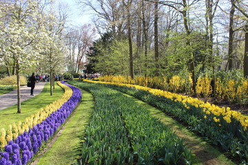 Keukenhof park in Netherlands