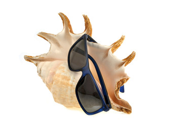 Lunettes de soleil posées sur une conque 