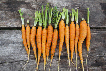 vegetables from the garden