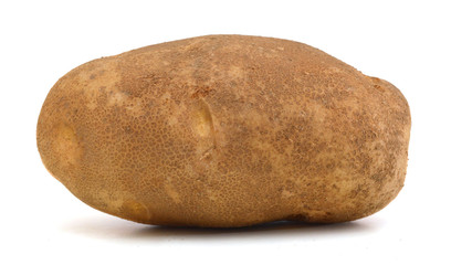 potato isolated on white background close up