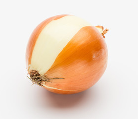 Fresh onion bulb isolated on white
