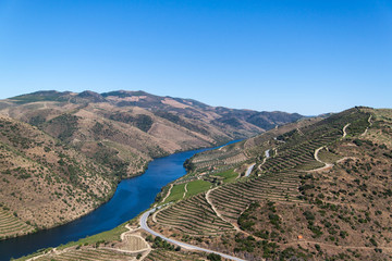 View of the Douro vineyards