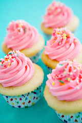 Vanilla Cupcakes