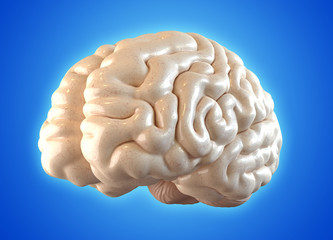Brain on blue background