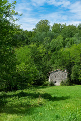 Stone house in the meadow