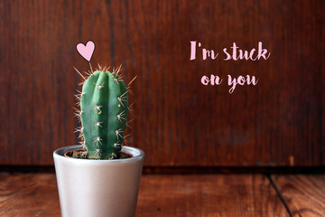 i'm stuck on you cactus with heart