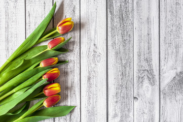 Bukiet kolorowych tulipanów na drewnianym stole z miejscem na tekst - obrazy, fototapety, plakaty