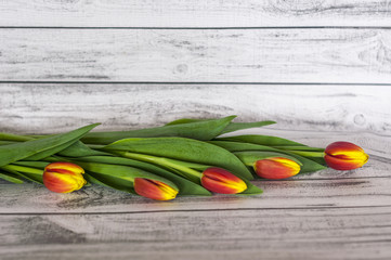 Bukiet kolorowych tulipanów na drewnianym stole z miejscem na tekst