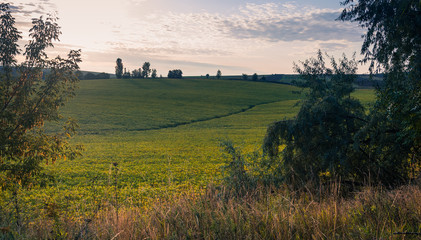 Fototapeta premium Fields, forests and roads in autumn