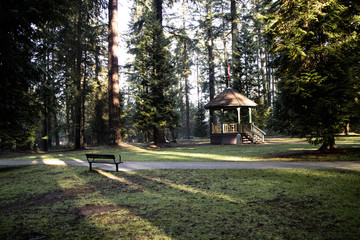Banco de jardim e parque
