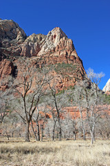 Zion National Park, Utah