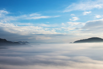 Fototapeta na wymiar Landscape Morning View With Waves of Fog Over the Mountain and Trees