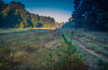 Fields, forests and roads in autumn