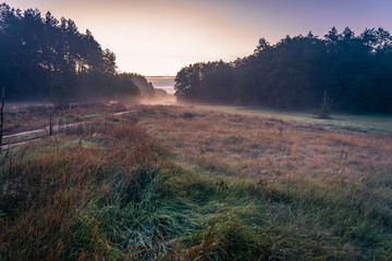 Fields, forests and roads in autumn