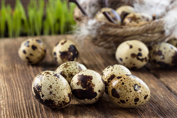 Quail eggs in a nest on a wooden table.