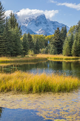 Fototapeta premium Scenic Reflection Landscape in the Tetons in Fall
