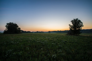 Fototapeta na wymiar Summer meadow at Morava river in sunrise, Slovakia forest, Europe