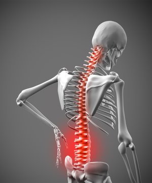 Digital skeleton rubbing lower back pain