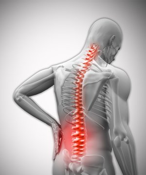 Digital human with highlighted vertebrae in pain