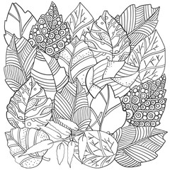 Floral doodle background pattern in vector with autumn leaves. Design Asian, ethnic, zentangle, tribal pattern. Black and white. Coloring book.