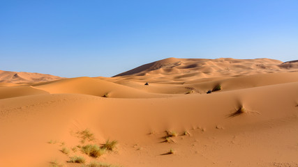 Fototapeta na wymiar Wydmy Erg Chebbi. Sahara