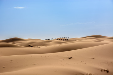 Fototapeta na wymiar Karawana na pustynii Sahara, Wydmy Erg Chebbi.
