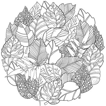 Floral doodle circle pattern in vector with autumn leaves. Design Asian, ethnic, zentangle, tribal pattern. Black and white. Coloring book.