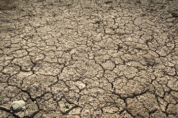 crack dry background, concept drought