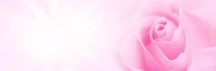 Foto auf Acrylglas Rosen Pink rose background
