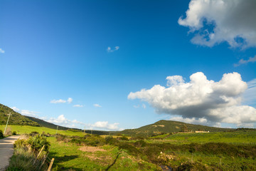 Fototapeta na wymiar Blue sky over a green field in the springtime