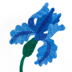 Embroidery pattern of flowers handmade smooth thread of floss on white background isolate with copy...