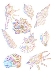 Set of abstract sea shells.