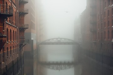 City in mysterious fog