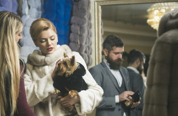 Purchase, business, moneybags.